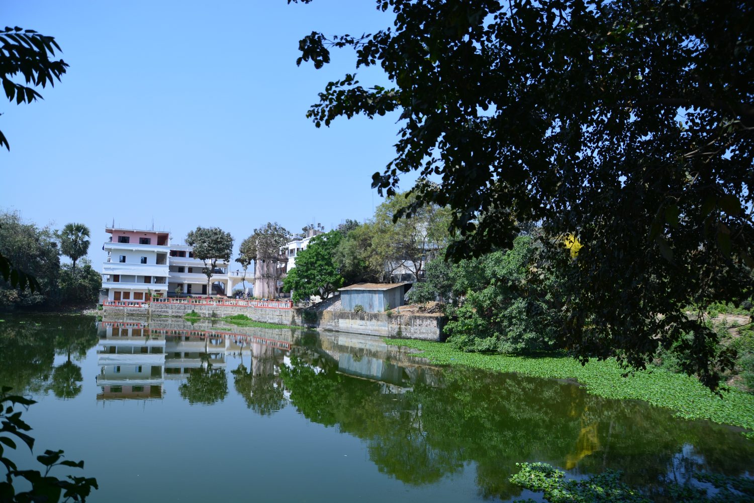Campus view across the pond